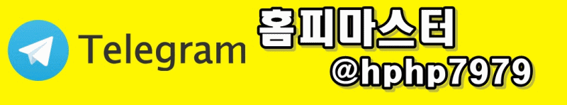 최신사이트